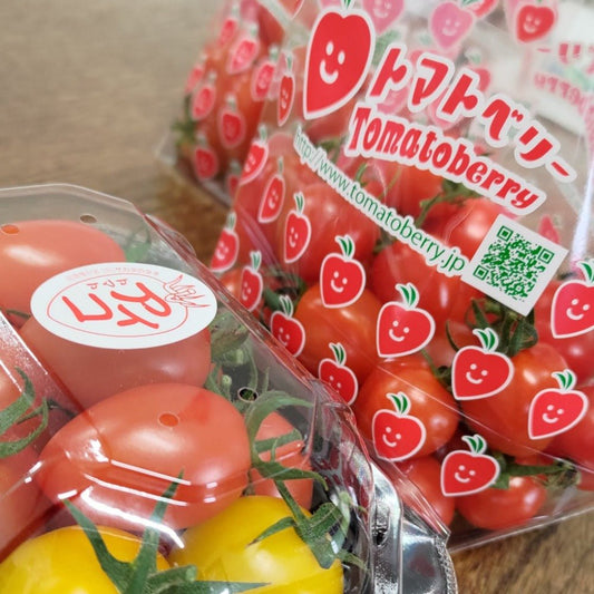 ミニトマト食べ比べアイコとベリー 2品種 6パック - 美野里ファーム