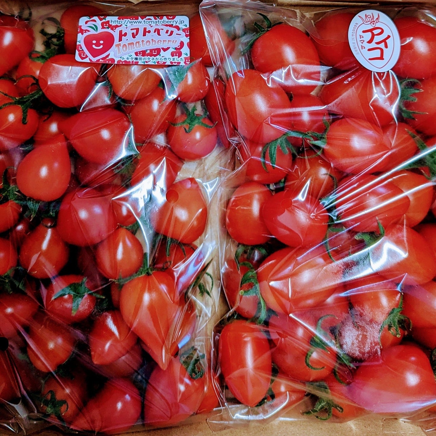 ミニトマト 2品種食べ比べ アイコとベリー - 美野里ファーム
