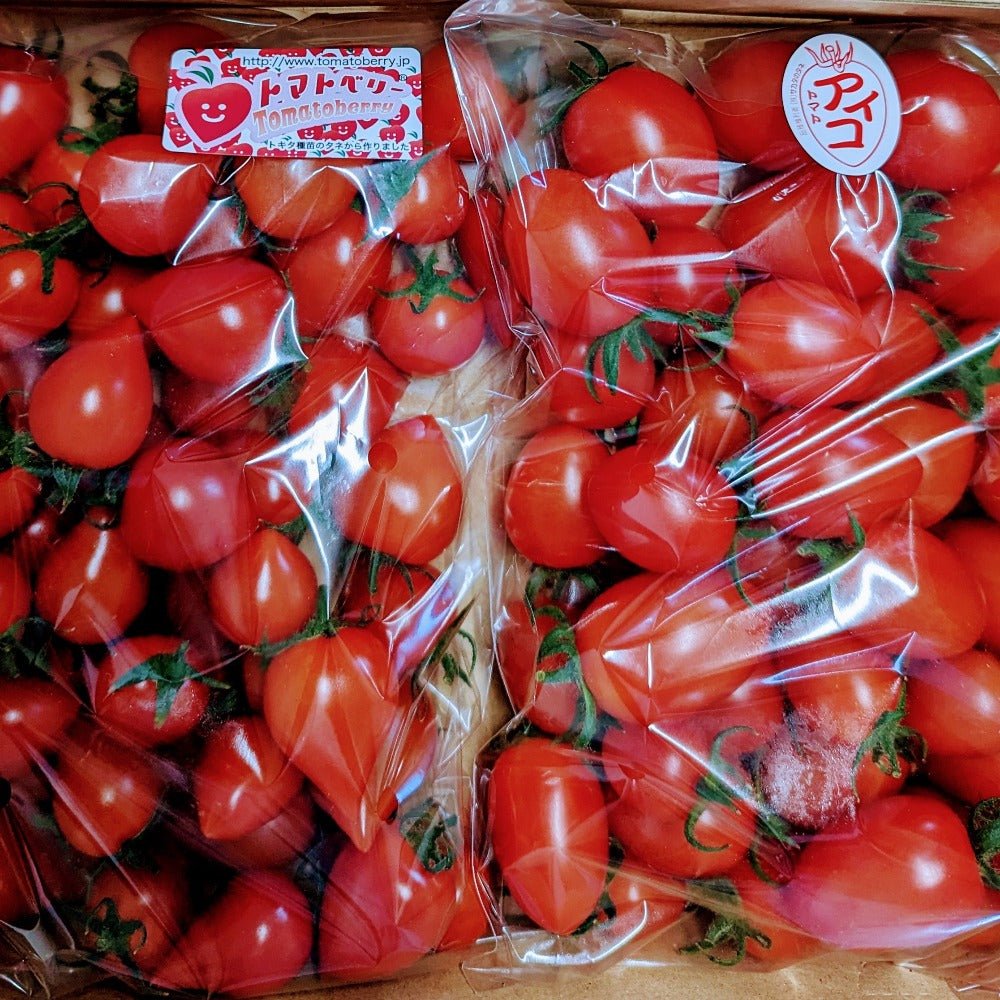 ミニトマト アイコとベリー 約800g - 美野里ファーム