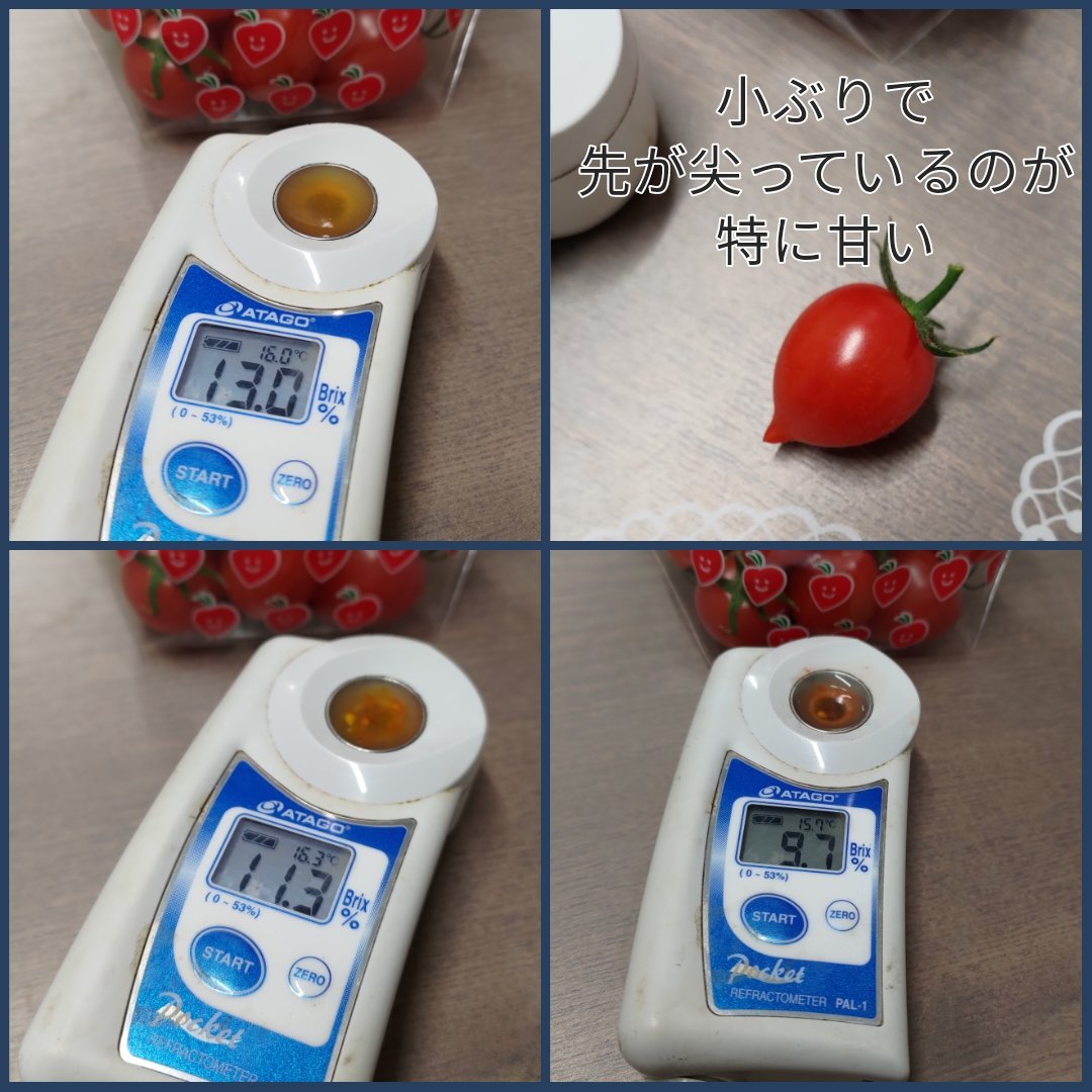 ミニトマト アイコとベリー 約800g - 美野里ファーム