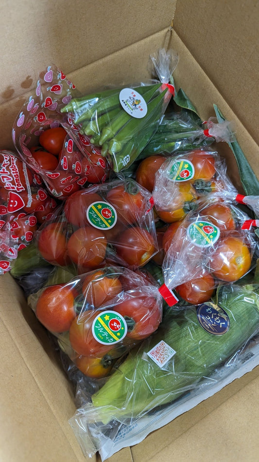 夏野菜セット - 美野里ファーム